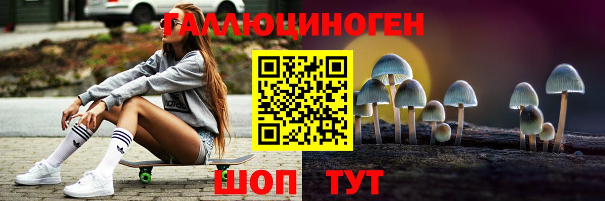 Псилоцибиновые грибы Psilocybine cubensis  Вход с VPN  где купить наркотик  Аксай  Псилоцибиновые грибы Magic Shrooms 